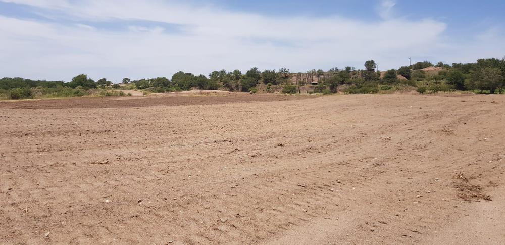 WhatsApp Image 2023-04-26 at 10.21.38