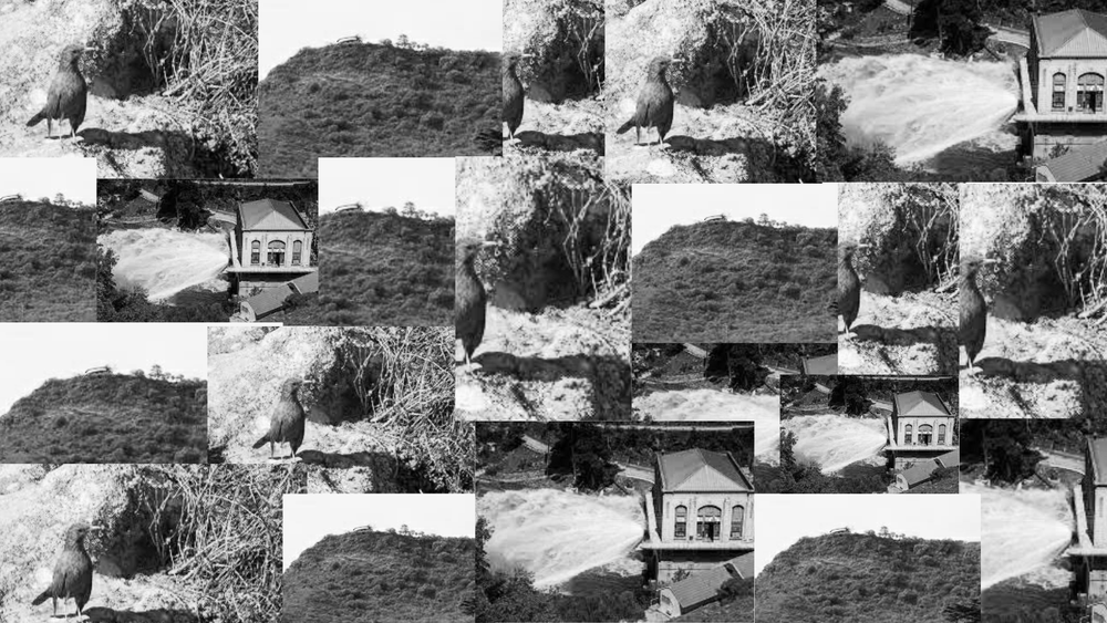 Fondo de pantalla horizontal collage de fotos saturado color marrón