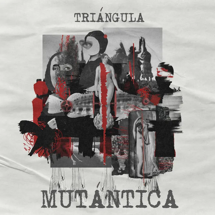 Tapa del disco